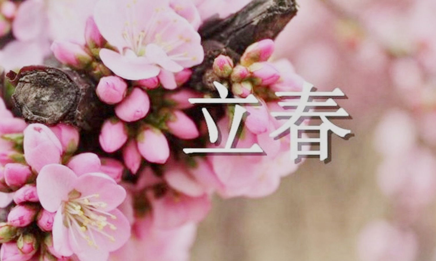 今週のスピリチュアルメッセージ