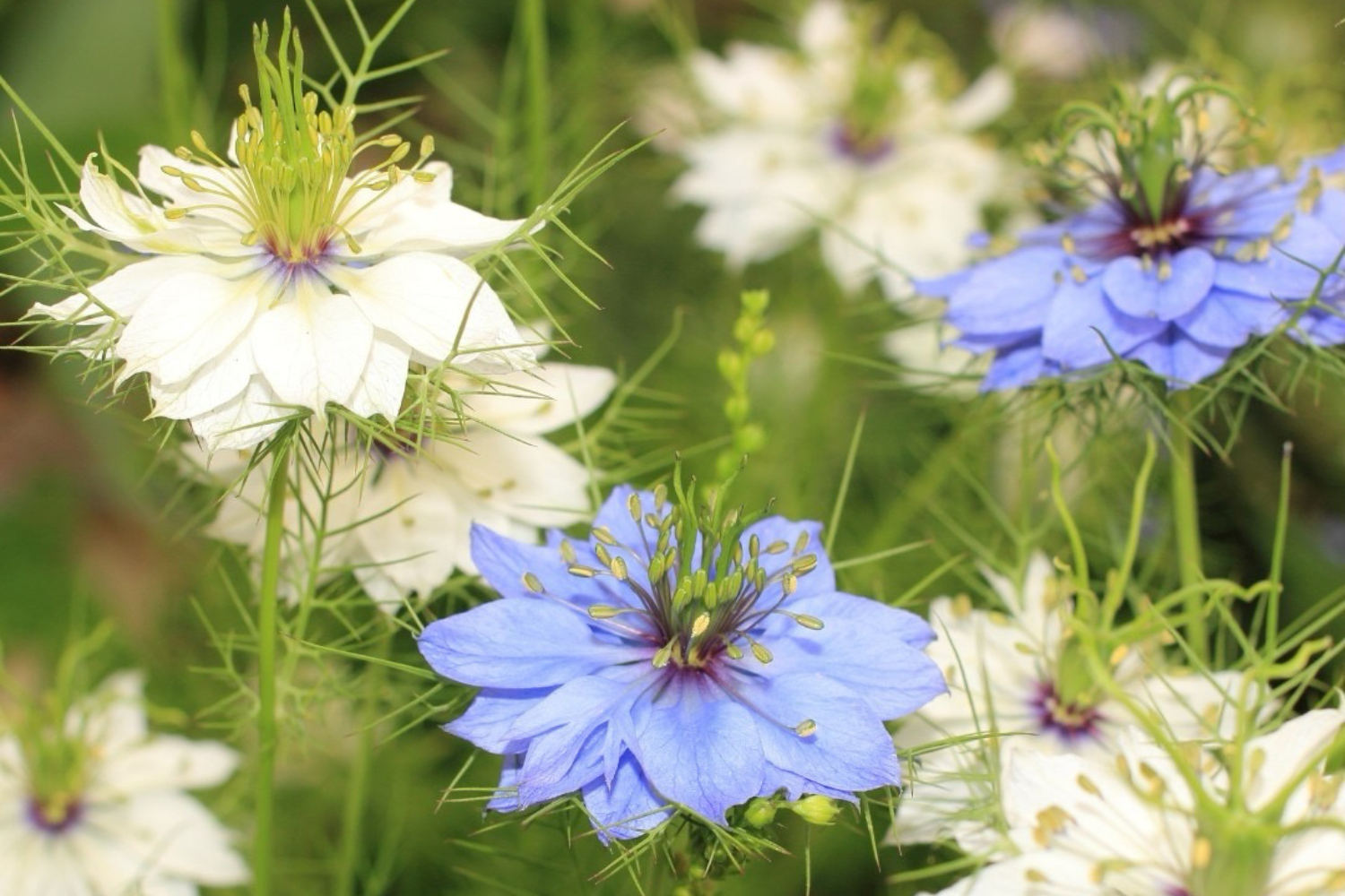 0304_今週のスピリチュアルメッセージ