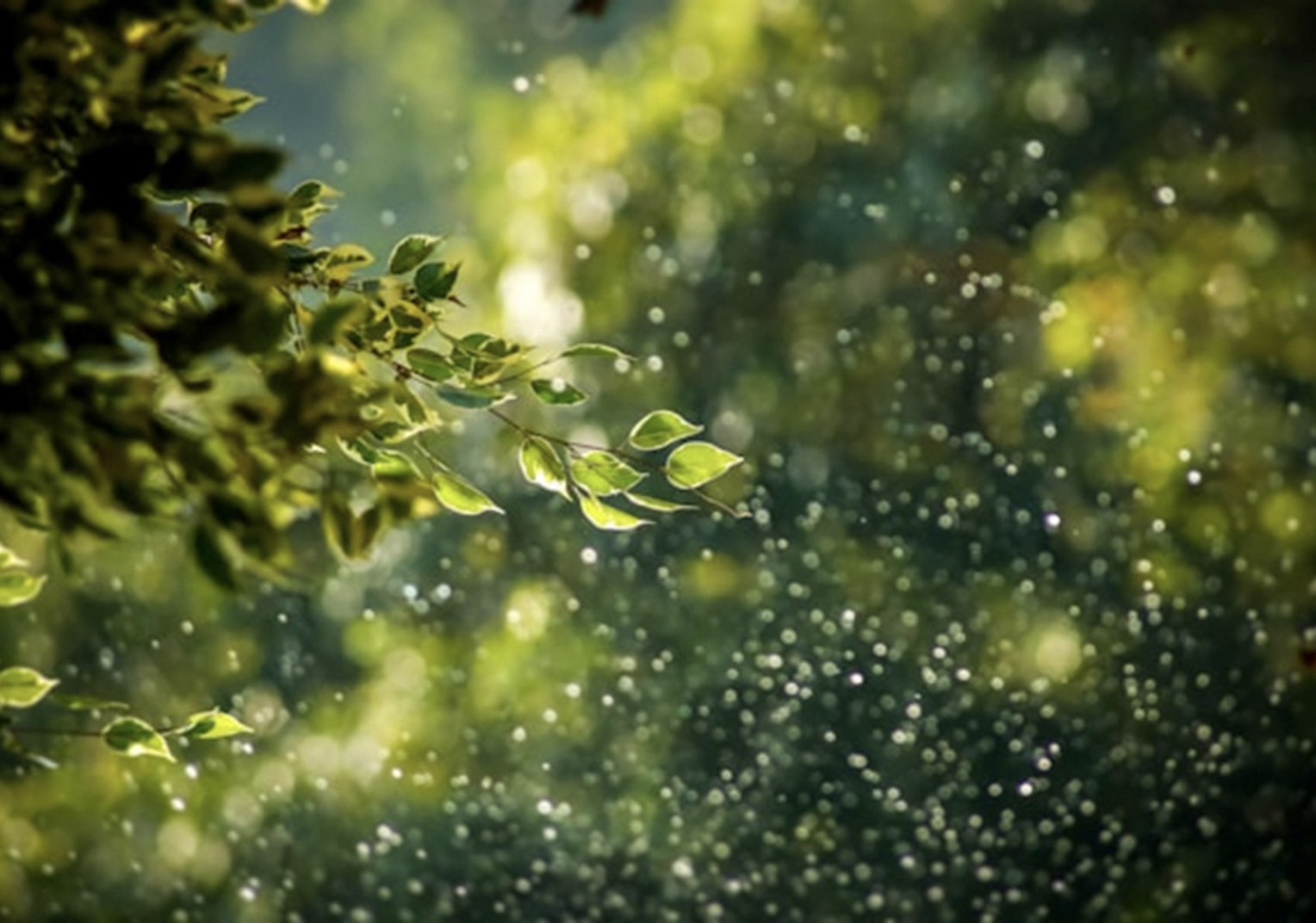 今週のスピリチュアルメッセージ