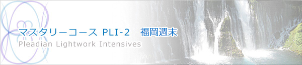 マスタリーコース PLI-2